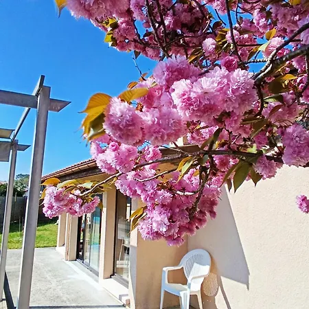 Holiday home Maison De La Famille Et Des Amis