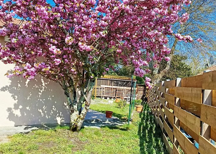 Holiday home Maison De La Famille Et Des Amis Biscarrosse