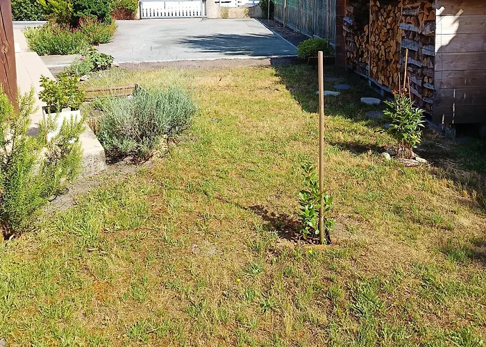 Holiday home Maison De La Famille Et Des Amis Biscarrosse